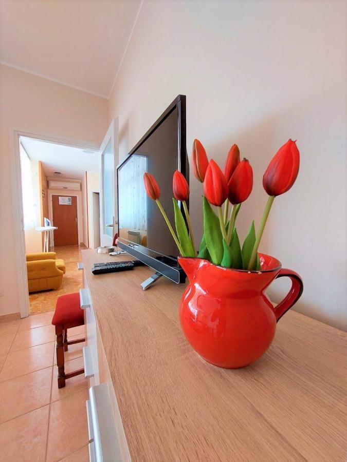 Apartment Big Lasan 보디체 외부 사진