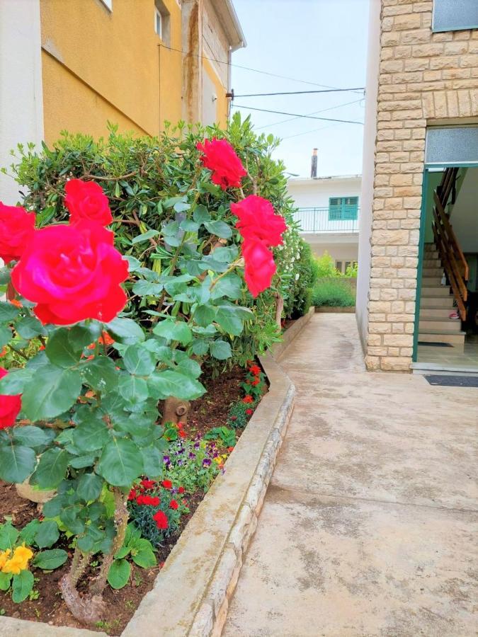 Apartment Big Lasan 보디체 외부 사진